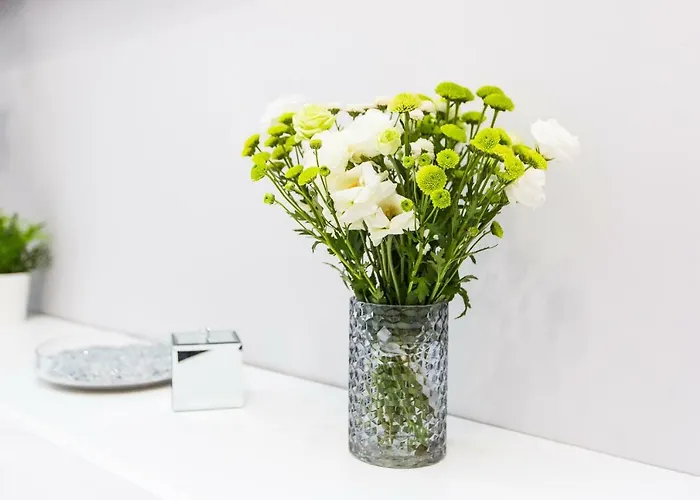 Apartamento кондиціонер стильно